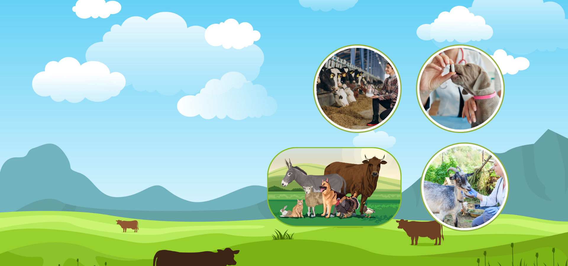 Veterinary Products Manufacturers in India